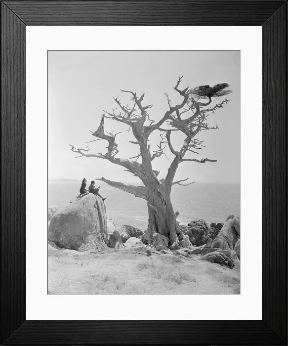 Framed Print : Salvador Dali with Wife Sketching Cypress Tree