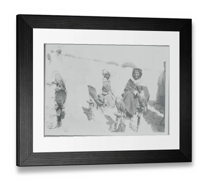 Framed Print : Native Arabian with Hunting Hawks Framed Print : Native Arabian with Hunting Hawks