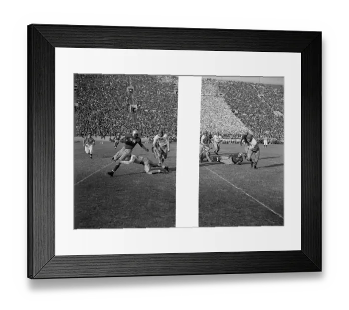 Framed Print : Whoa, Jackie! Framed Print : Whoa, Jackie!