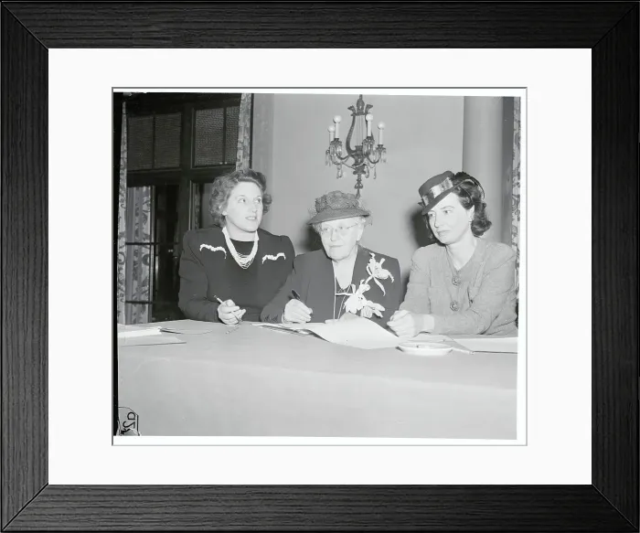 Framed Print : Delegates of Woman's Centennial Congress Framed Print : Delegates of Woman's Centennial Congress