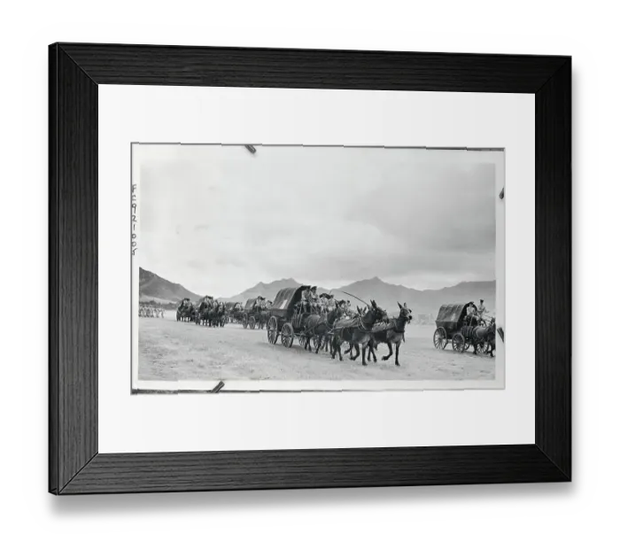 Framed Print : Carriages Being Pulled by Mules Framed Print : Carriages Being Pulled by Mules