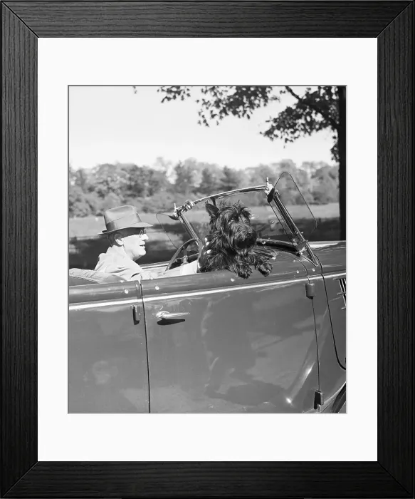Framed Print : President Roosevelt with His Dog Fala Framed Print : President Roosevelt with His Dog Fala