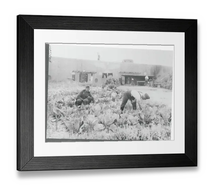 Framed Print : Soldiers Working in Garden
