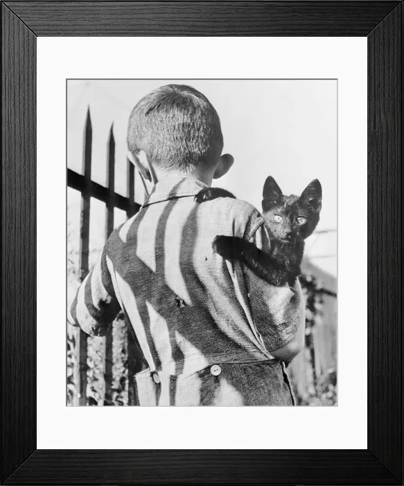 Framed Print : Small Boy Carrying a Cat Framed Print : Small Boy Carrying a Cat