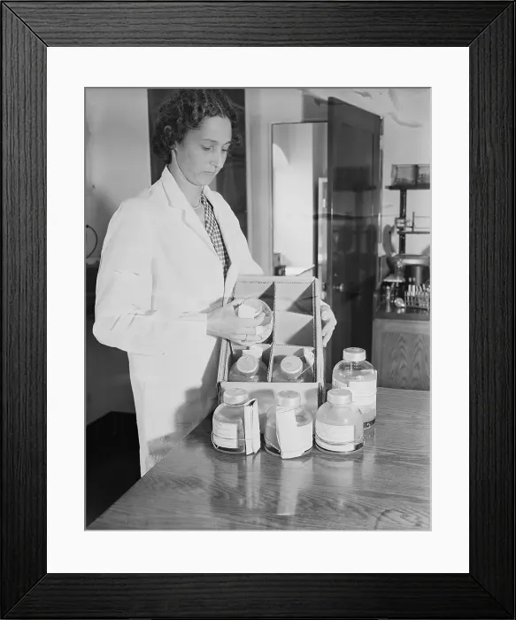 Framed Print : Doctor Packing Blood Donations Framed Print : Doctor Packing Blood Donations