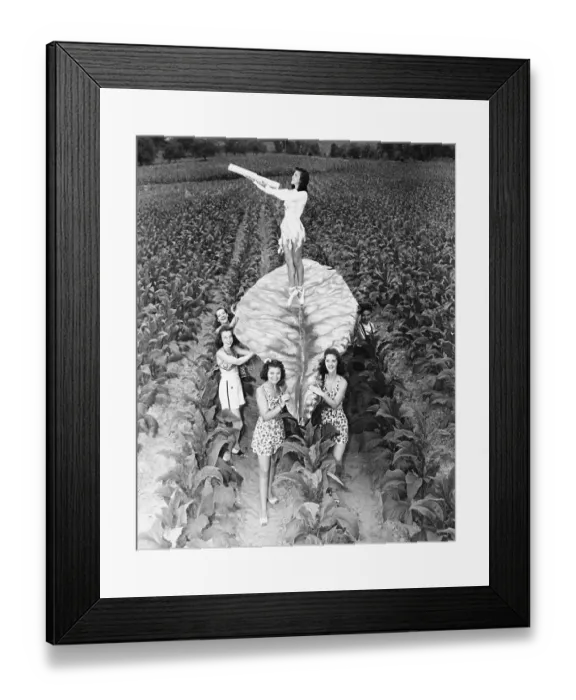 Framed Print : Lady Nicotine's Devotees Framed Print : Lady Nicotine's Devotees