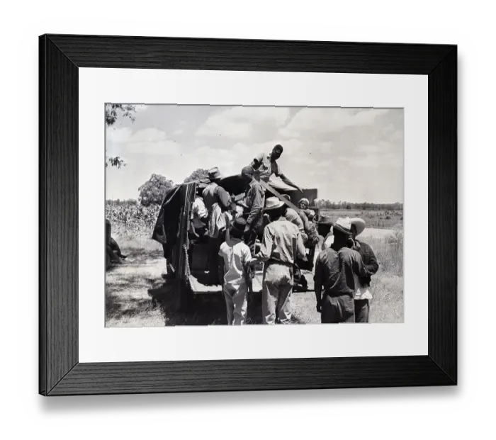 Framed Print : Migratory Farm Workers In Back Of Truck Framed Print : Migratory Farm Workers In Back Of Truck