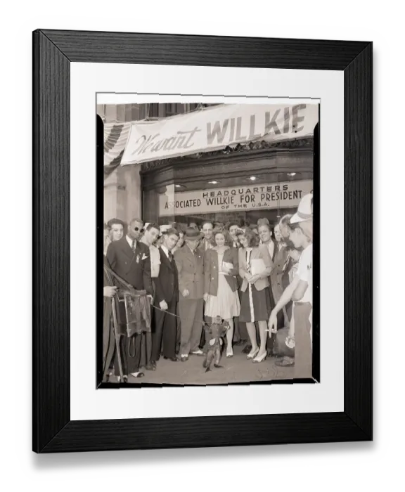 Framed Print : Monkey Campaigning for Willkie Framed Print : Monkey Campaigning for Willkie