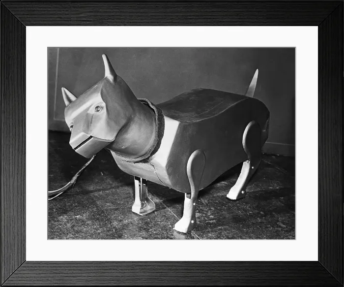 Framed Print : Sparko, the World's First Electrical Dog Framed Print : Sparko, the World's First Electrical Dog