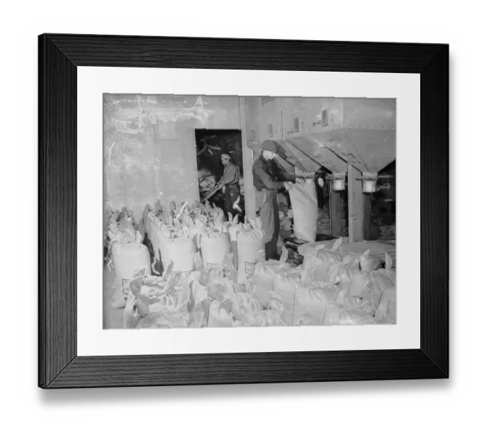 Framed Print : Foreign-Trade Zone on Staten Island Framed Print : Foreign-Trade Zone on Staten Island