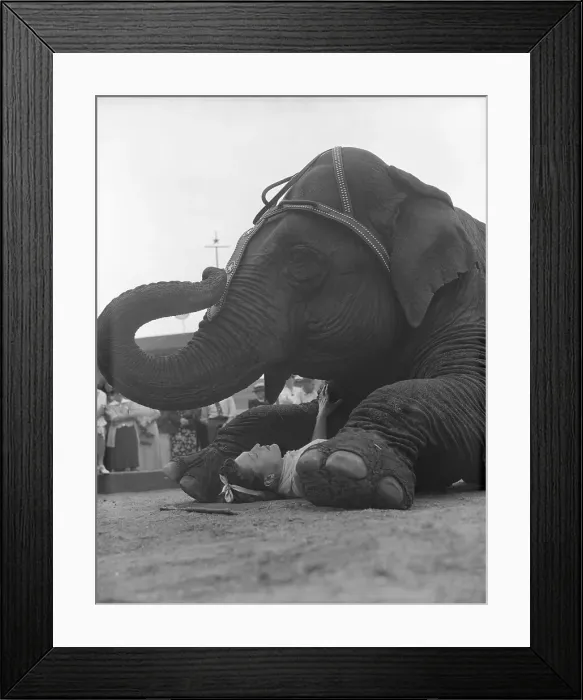 Framed Print : Boy has She Got a Load On! Framed Print : Boy has She Got a Load On!