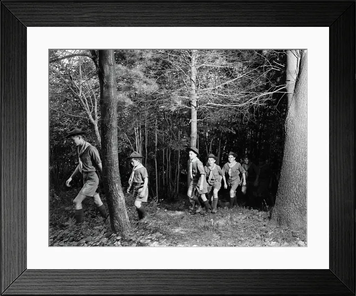Framed Print : Boy Scouts Hiking Through the Woods Framed Print : Boy Scouts Hiking Through the Woods