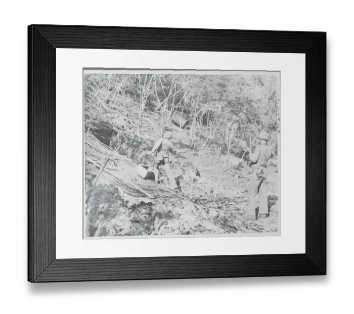 Framed Print : American Marines Smoking Bushes to Run out Enemy Troops Framed Print : American Marines Smoking Bushes to Run out Enemy Troops