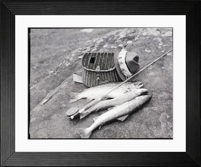 Framed Print : Catch of Trout Framed Print : Catch of Trout