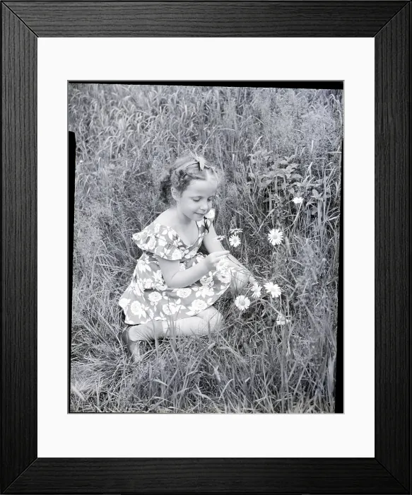 Framed Print : Girl Picking Daisies Framed Print : Girl Picking Daisies