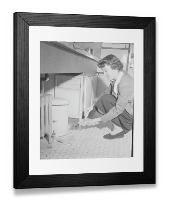 Framed Print : Young Woman Utilizing Rat Control with Bait Framed Print : Young Woman Utilizing Rat Control with Bait