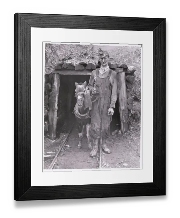 Framed Print : Miner with Pony Framed Print : Miner with Pony