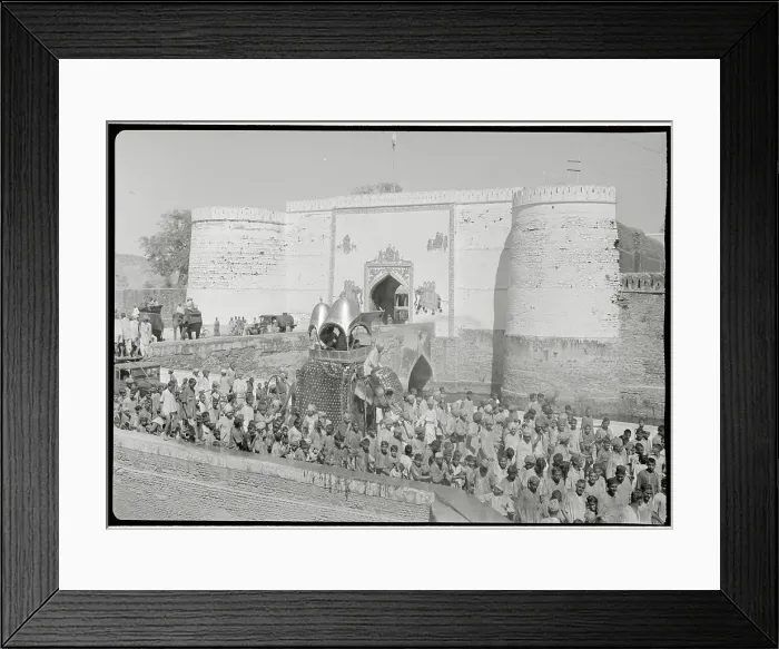 Framed Print : Holi Procession in Bharatpur