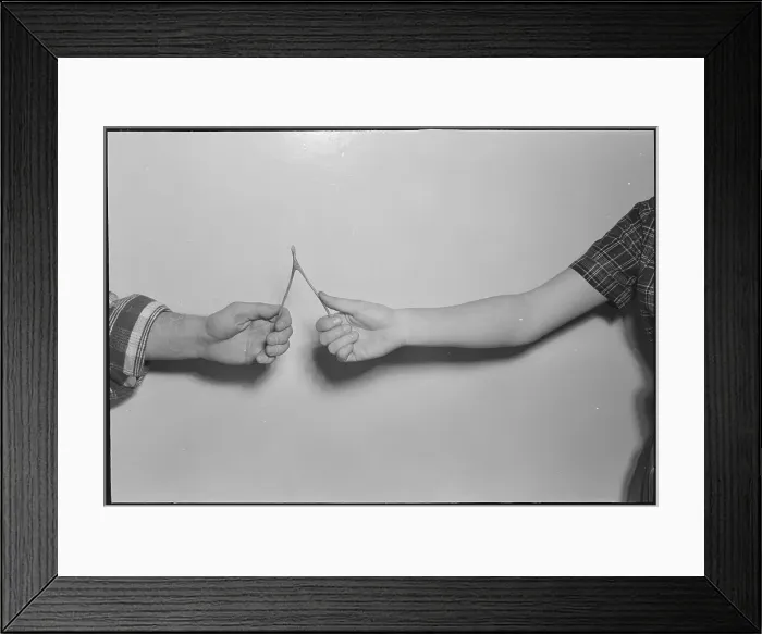 Framed Print : Breaking a Wishbone Framed Print : Breaking a Wishbone