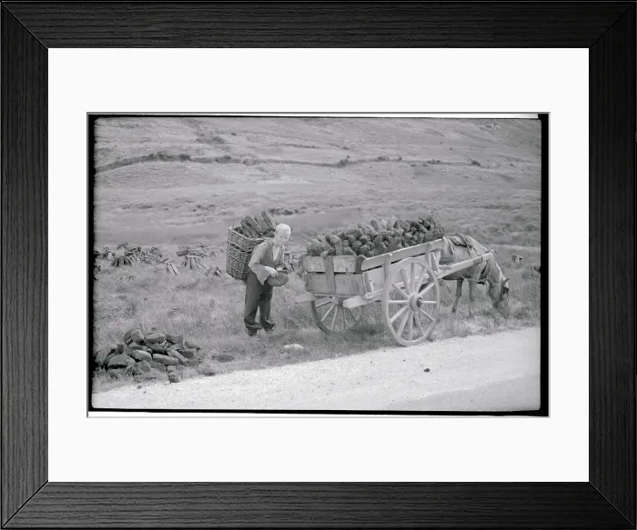 Framed Print : Boy Loading Peat into Wagon Framed Print : Boy Loading Peat into Wagon