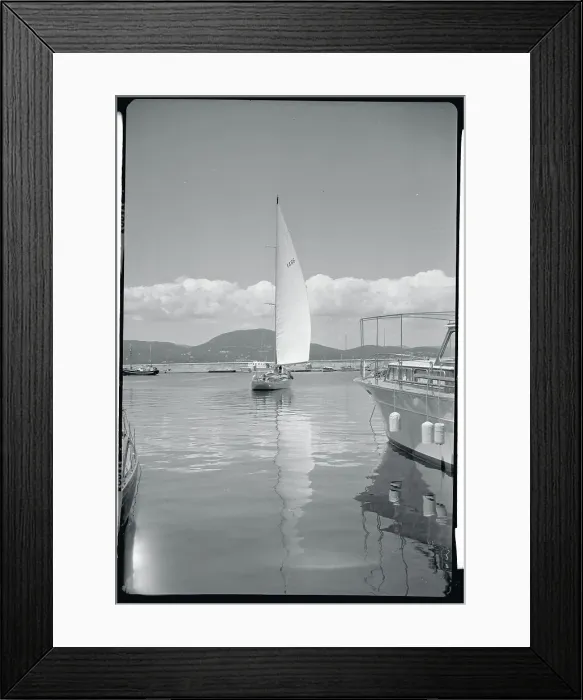 Framed Print : Sailboat in Harbor Framed Print : Sailboat in Harbor