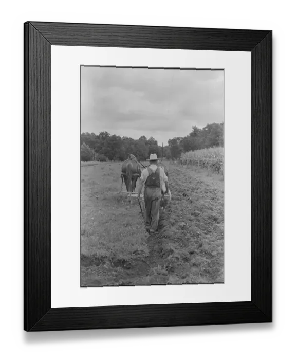 Framed Print : Farmer Plowing Field Framed Print : Farmer Plowing Field