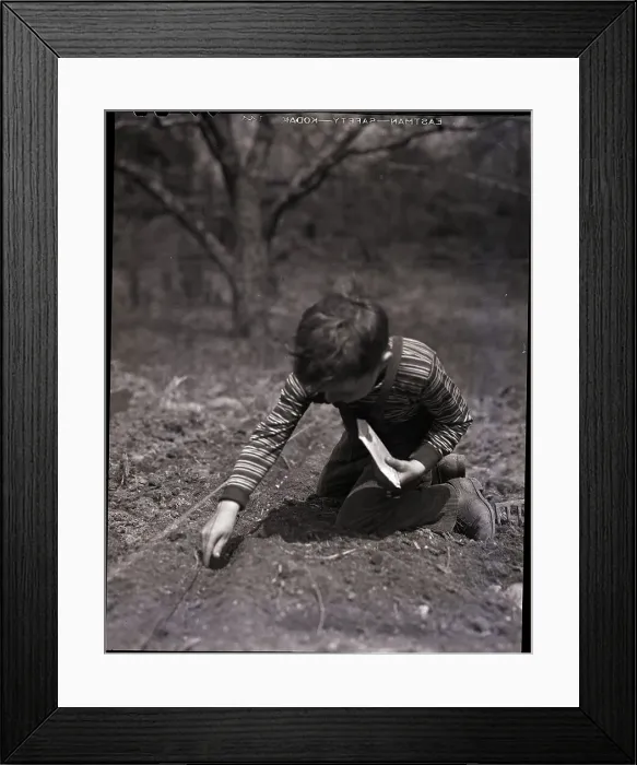 Framed Print : Boy Planting Seeds