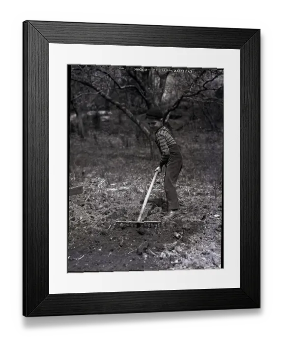 Framed Print : Boy Raking Garden