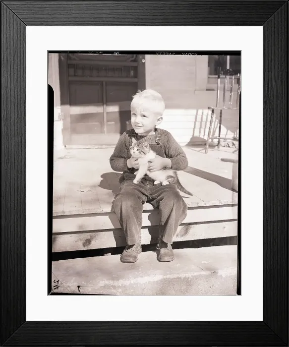 Framed Print : Boy Holding Kitten Framed Print : Boy Holding Kitten