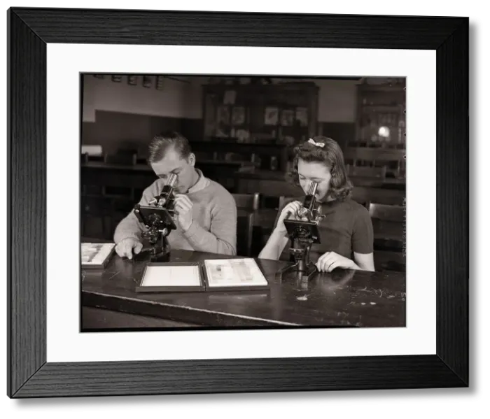 Framed Print : Students Looking Through Microscopes Framed Print : Students Looking Through Microscopes