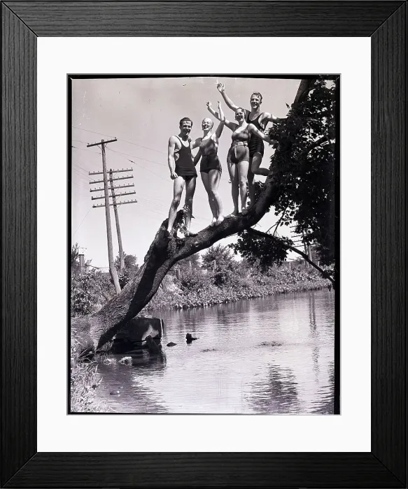 Framed Print : Swimmers Standing on Tree Branch