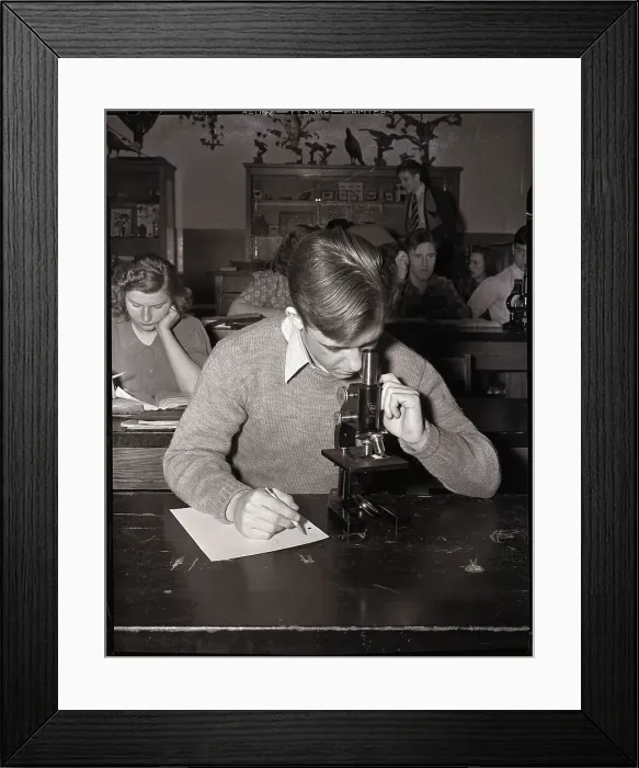 Framed Print : Boy Looking into Microscope Framed Print : Boy Looking into Microscope