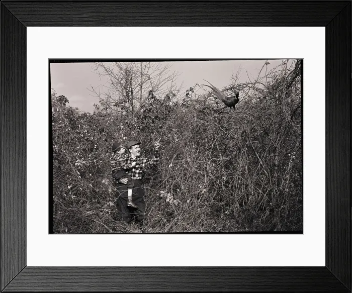 Framed Print : Man and Son Looking at Pheasant Framed Print : Man and Son Looking at Pheasant