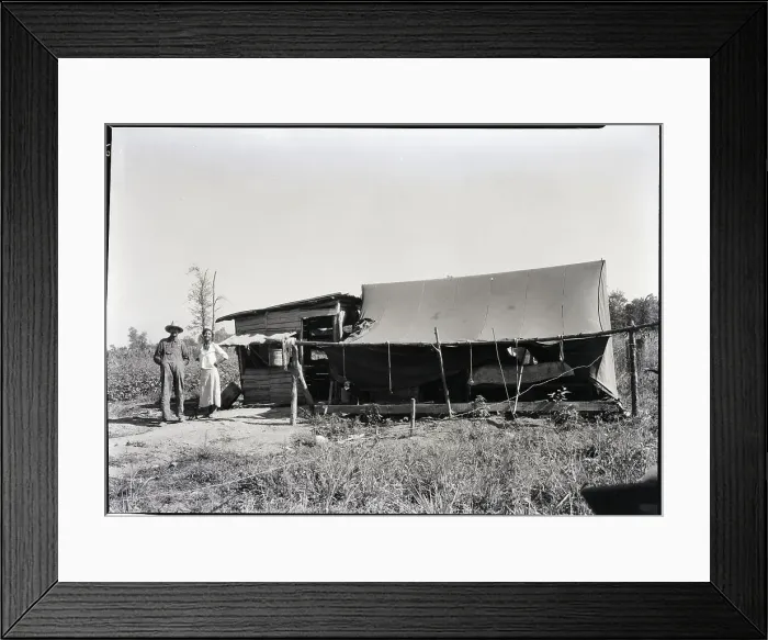 Framed Print : Cotton Picker Tent Framed Print : Cotton Picker Tent