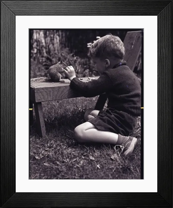 Framed Print : Boy Feeding Squirrel