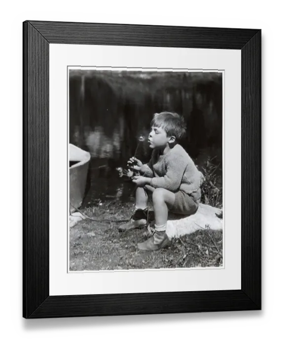 Framed Print : Boy Blowing a Dandelion