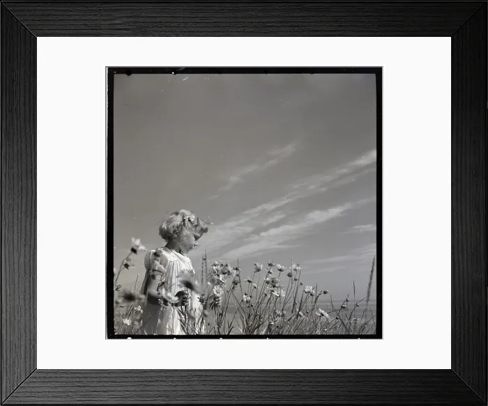 Framed Print : Girl in Daisy Field Framed Print : Girl in Daisy Field