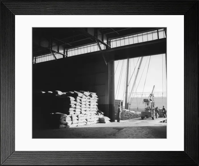 Framed Print : Foreign-Trade Zone on Staten Island