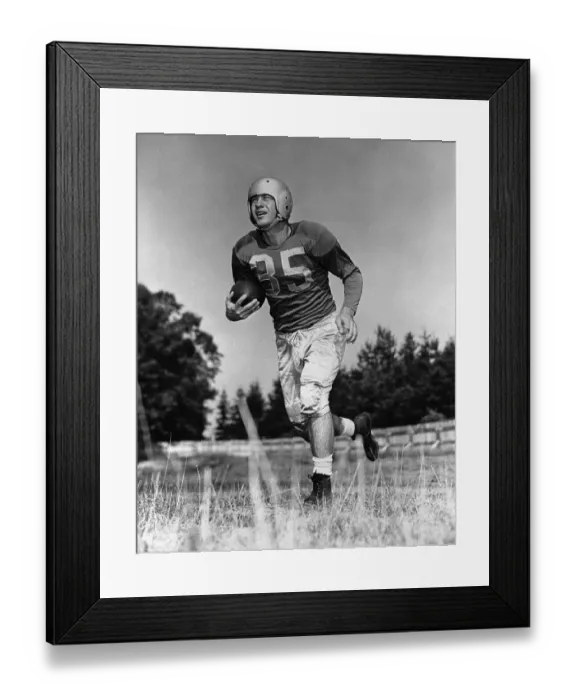 Framed Print : Detroit Lions Player Bill Dudley Framed Print : Detroit Lions Player Bill Dudley