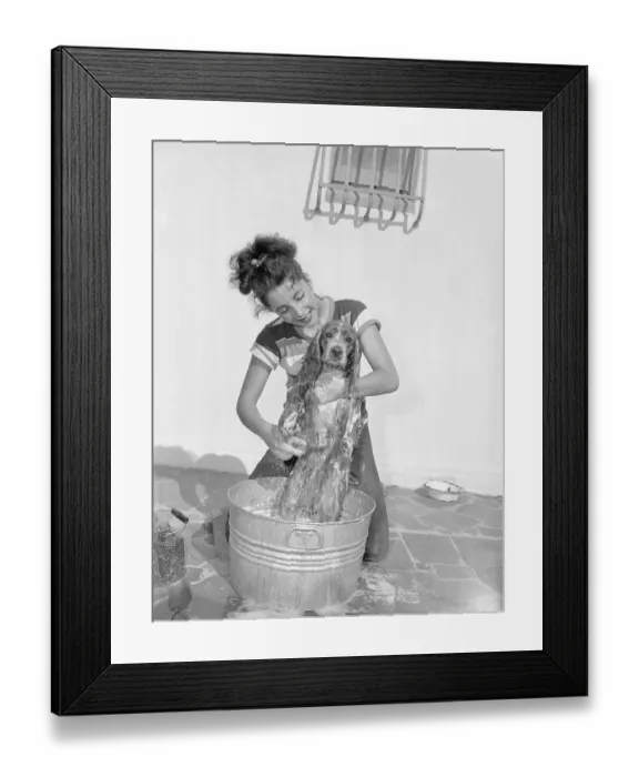 Framed Print : Young Actress Elizabeth Taylor Bathing Her Dog Framed Print : Young Actress Elizabeth Taylor Bathing Her Dog