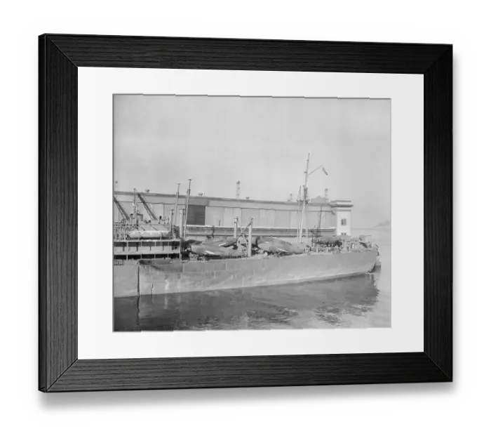 Framed Print : Foreign-Trade Zone on Staten Island Framed Print : Foreign-Trade Zone on Staten Island