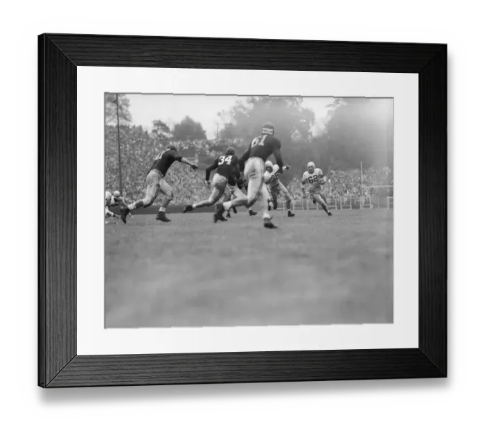 Framed Print : Charlie Trippi Playing College Football Framed Print : Charlie Trippi Playing College Football