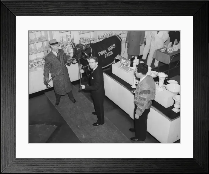 Framed Print : Bull in a China Shop