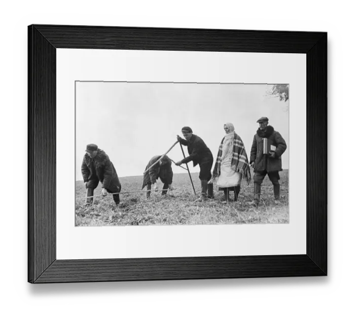Framed Print : Measuring Land with Wooden Calipers Framed Print : Measuring Land with Wooden Calipers
