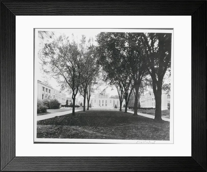 Framed Print : View of Tree Lined Street Near Pennsylvania State College Framed Print : View of Tree Lined Street Near Pennsylvania State College