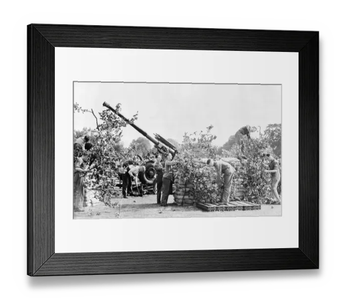 Framed Print : Camouflaged Gun Hidden by the British Framed Print : Camouflaged Gun Hidden by the British