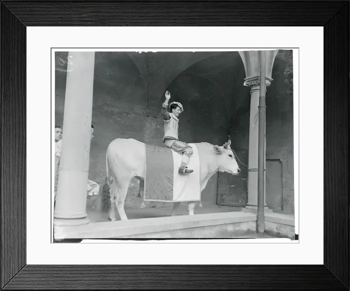 Framed Print : Player Sitting Upon a Steed Framed Print : Player Sitting Upon a Steed