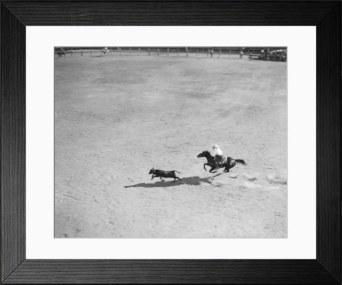Framed Print : Calf Roping At Rodeo Framed Print : Calf Roping At Rodeo