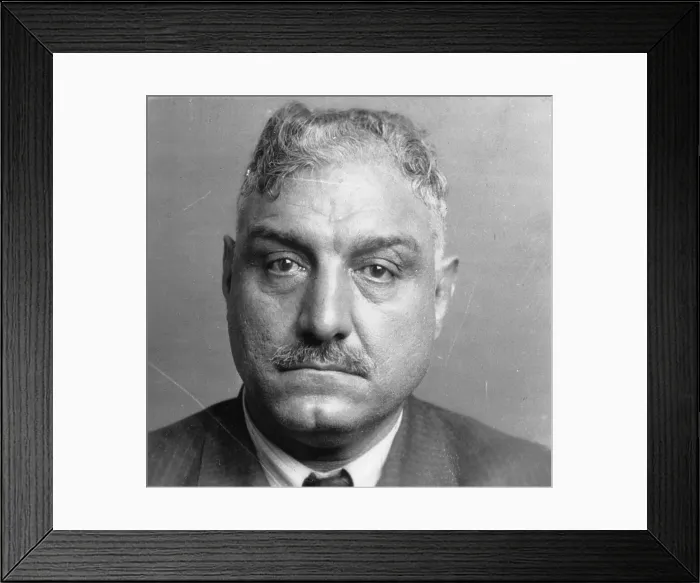 Framed Print : Murder Ring Suspect Found in New York Prison Framed Print : Murder Ring Suspect Found in New York Prison