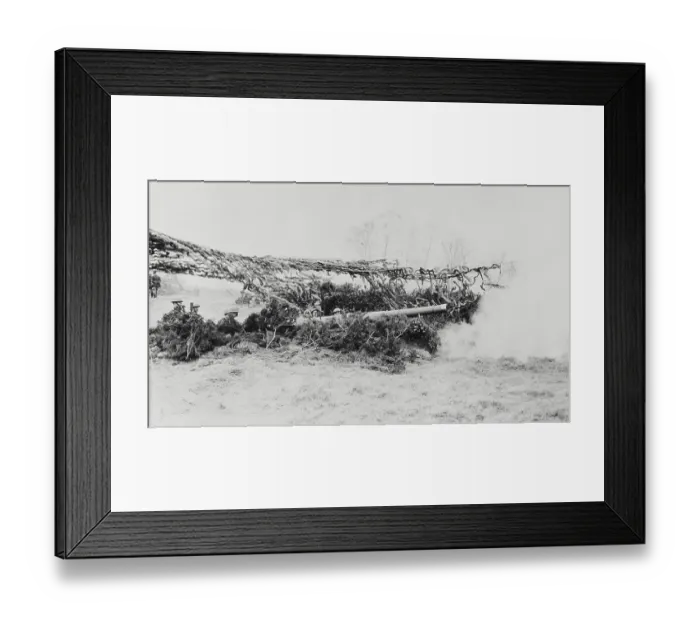 Framed Print : English Gunner Hideaway in Bushes Framed Print : English Gunner Hideaway in Bushes